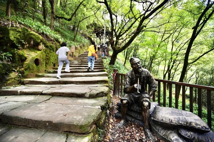 漫步山林步道  “醉入”重庆森林