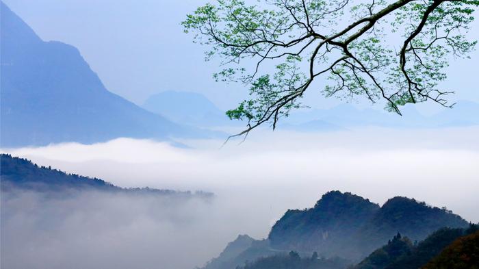 中运夜读 | 一首回文诗，几许岁月峥嵘——写在五四青年节