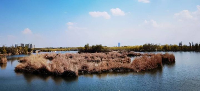 快餐约附近怎么玩才能不踩雷?