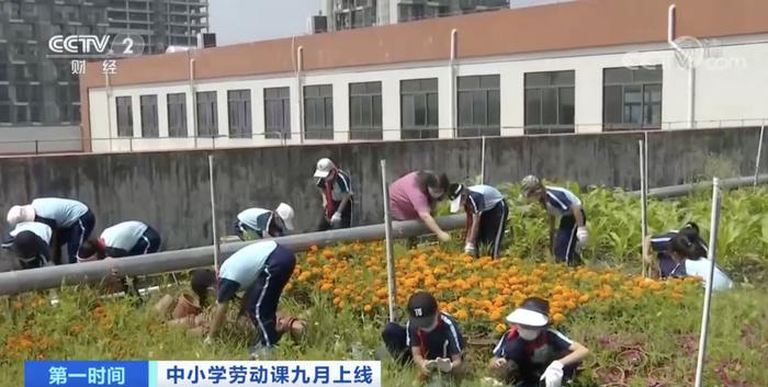 教育部明确，中小学生要学煮饭修家电了！具体怎么学→