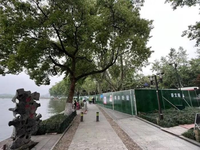 西湖断桥旁的柳树不见了？不少杭州人都在问：为什么要弄走？