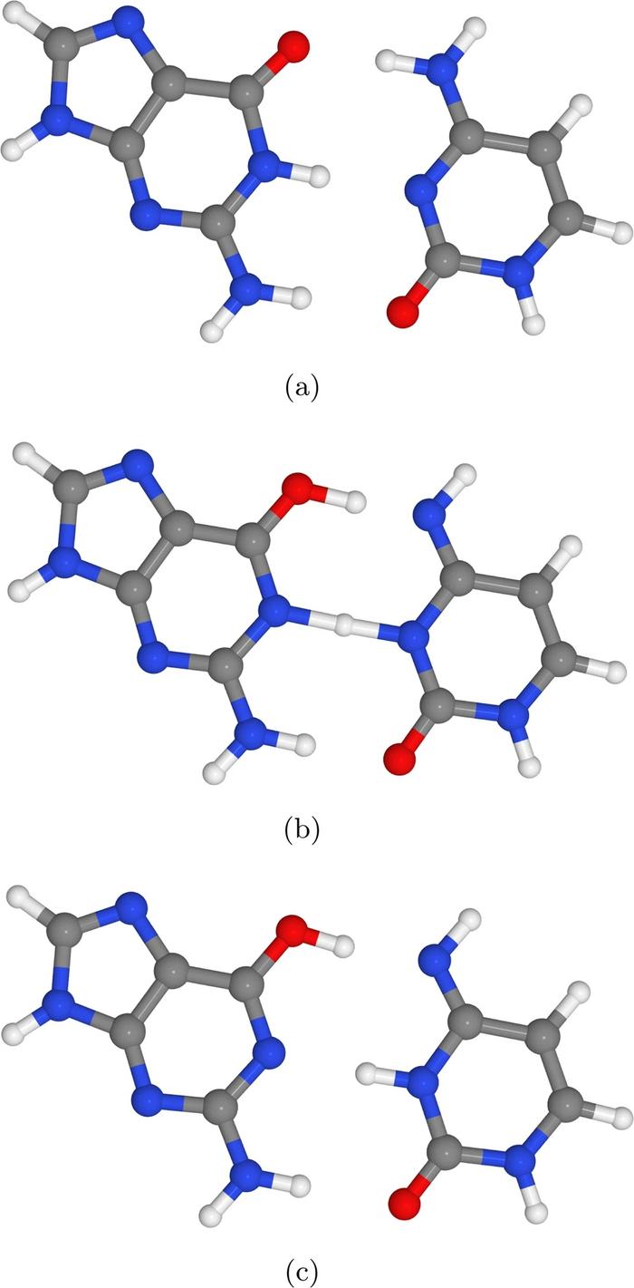 科学家首次发现量子力学如何导致基因突变