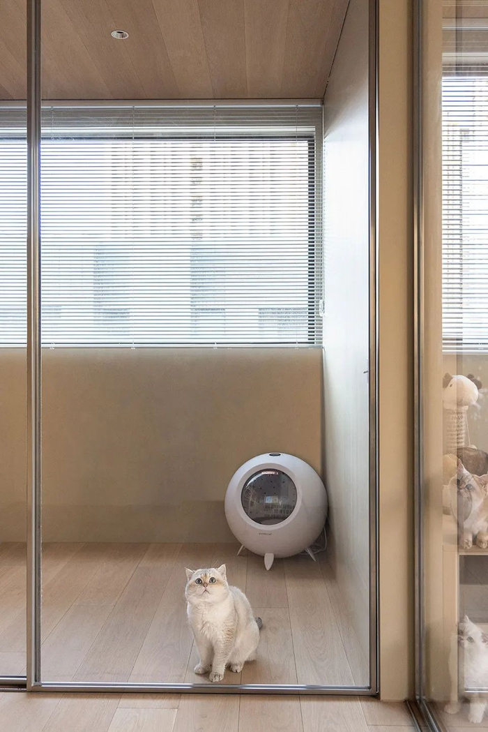 原木四重奏，经典日式回旋结构别墅