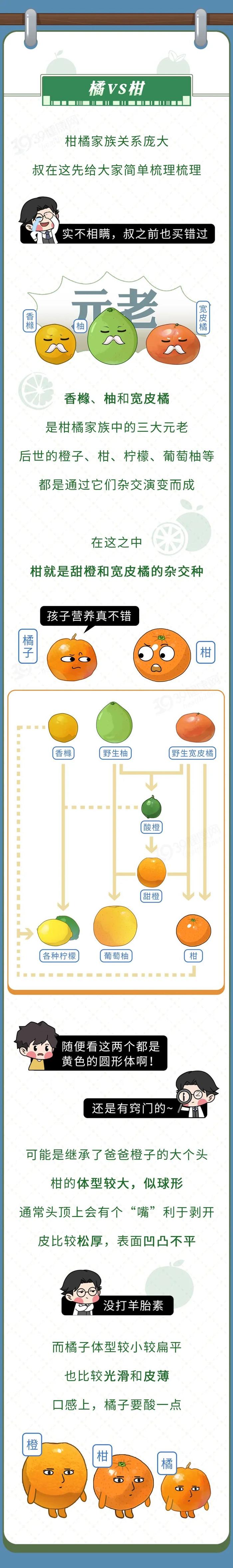 为什么奇异果比猕猴桃贵？车厘子和樱桃是“亲戚”？