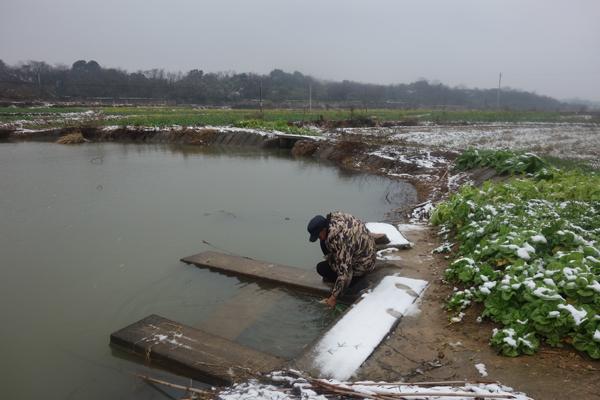 2月18日,姚元清在菜园里拔了几根大蒜,走到水塘边把大蒜洗得干干净净。这个水塘,正是十年前冯玉祥遗体被发现的地方。