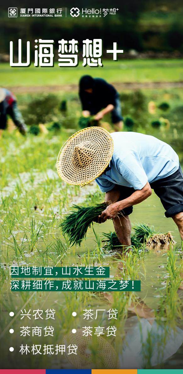 奔赴山海 逐梦而行 厦门国际银行普惠金融子品牌宣传片“山海梦想+”发布