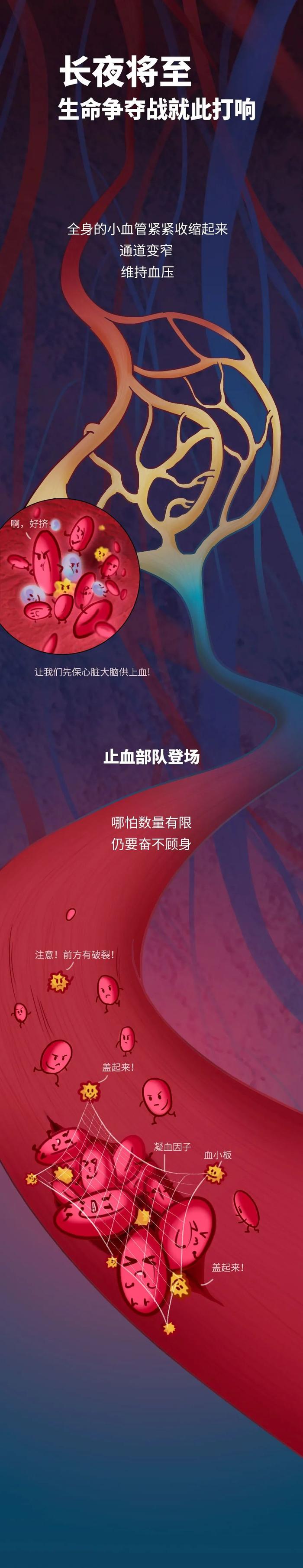 人死前，身体在做什么？