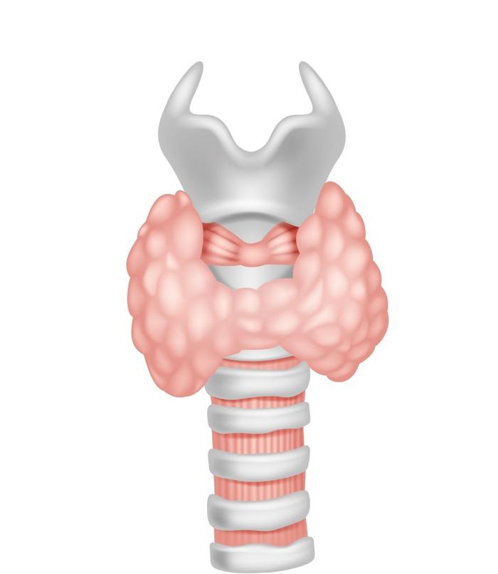 常见甲状腺疾病有哪些？一文教你保护甲状腺！|国际甲状腺知识宣传周