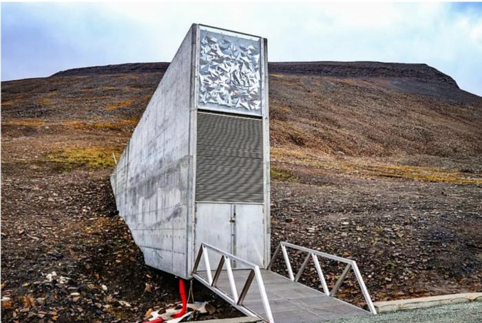 【科学】“末日粮仓”所在地，斯瓦尔巴群岛如何再现北极荒野的自然风光