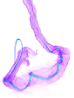 “神经弦”实时侦听大脑与肠道对话，有望实现人体柔软器官的生物分子传感|总编辑圈点