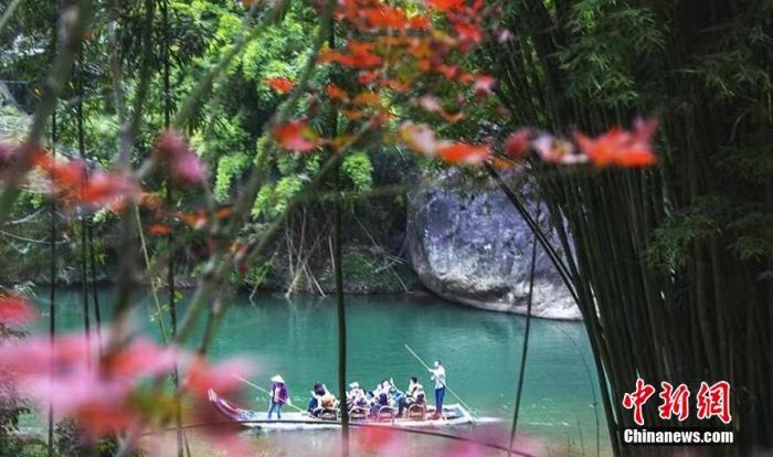 资料图:武夷山九曲绿水、青山、红叶交相辉映。 张丽君 摄