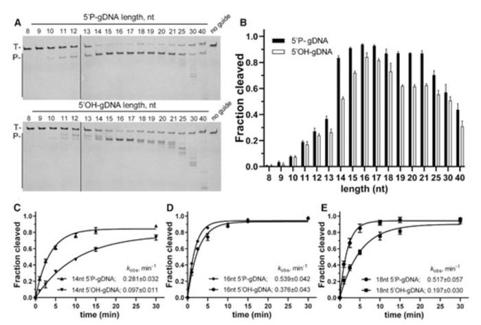 (来源:Nucleic Acids Research)
