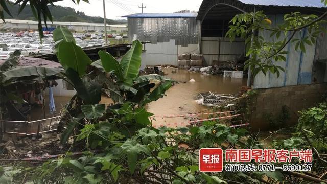 好欢乐！暴雨后路面积水，南宁市民上街抓鱼