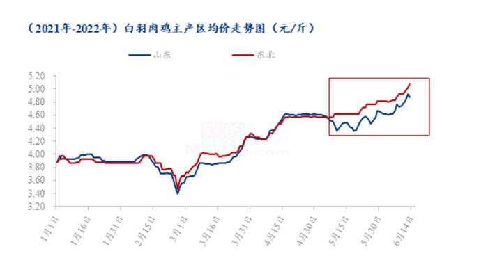 价格打破三年新高，近一个月涨超10%，养鸡业景气度走高，机构：年度级别的上行期！这些概念股滞涨（名单）