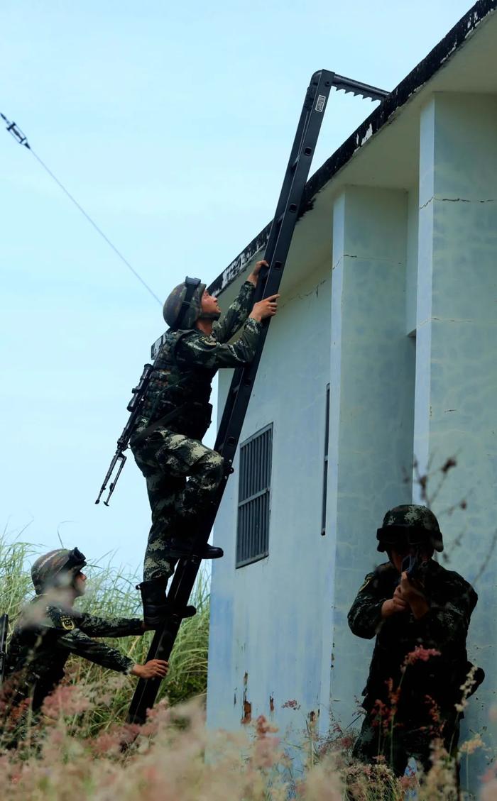 激情六月练兵忙！直击战区部队官兵鏖战训练场