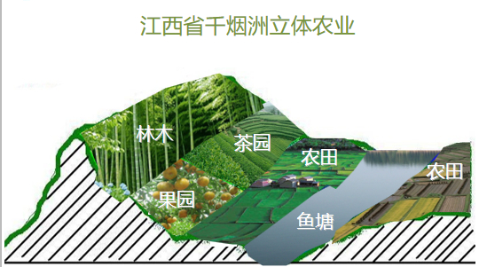江西生态农业