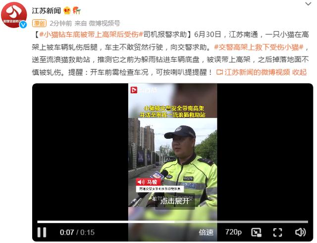 小猫钻车底被带上高架后受伤，司机报警求助