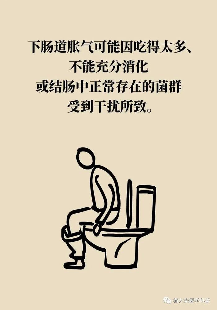 总是胀气，是肠胃出问题了？