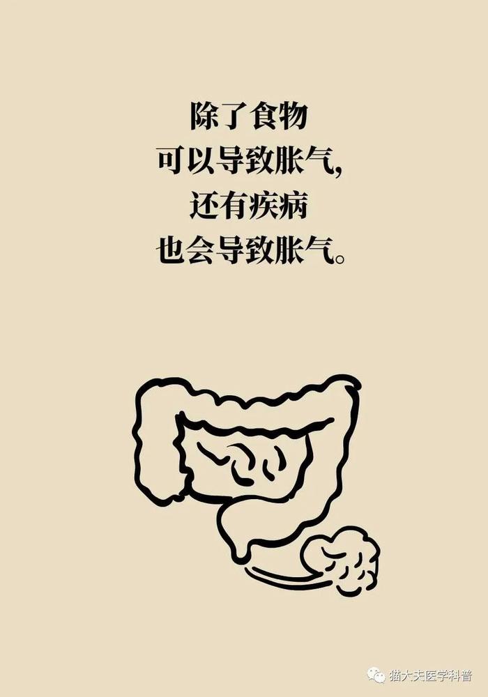 总是胀气，是肠胃出问题了？