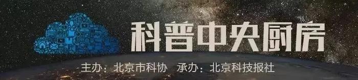 动物的特殊发型跟他们有关吗？揭秘动物园饲养员的“神仙工作”