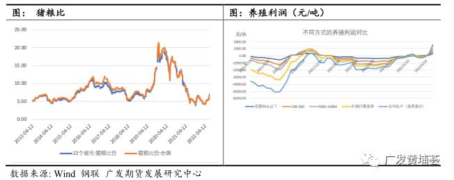 快讯：生猪期货日内大涨近5%，刷新前期高点