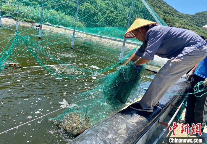 “千岛之城”向海而兴 浙江舟山探路海岛共富