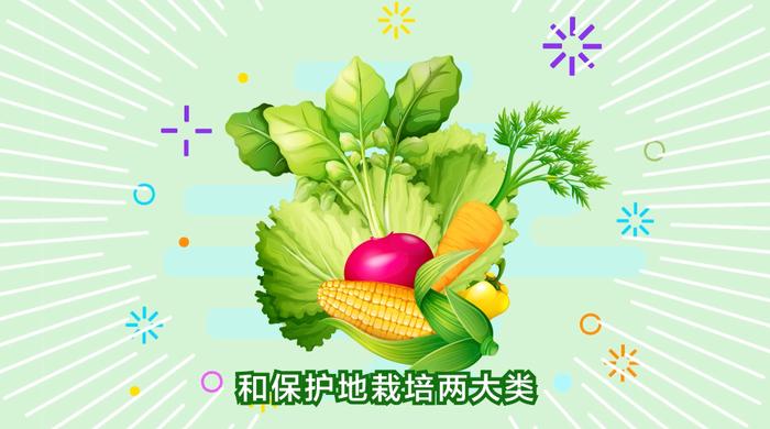 【三农词条】蔬菜栽培方式有哪些？