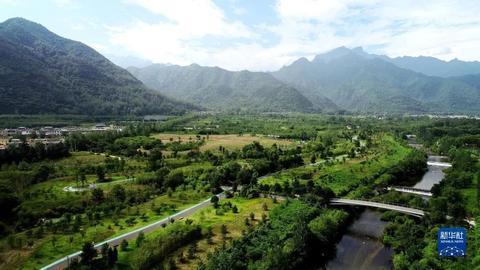 侠客岛解局：“为什么有些问题地方发现不了，督察进驻一个月就发现这么多？”