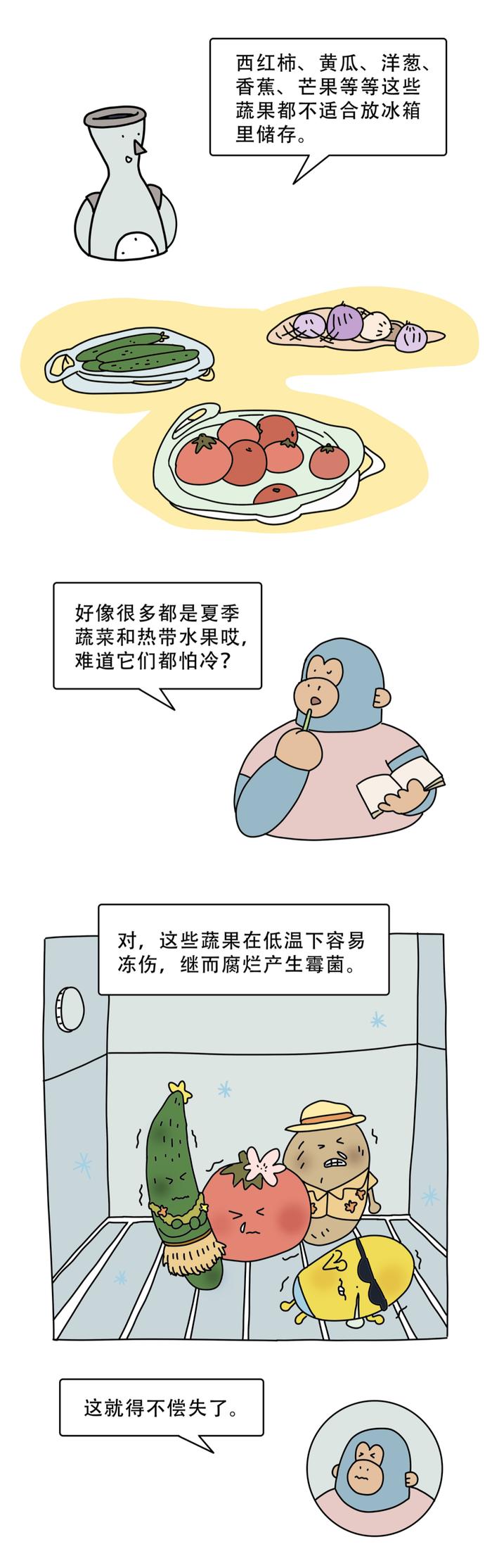 蔬菜真的要放冰箱吗？