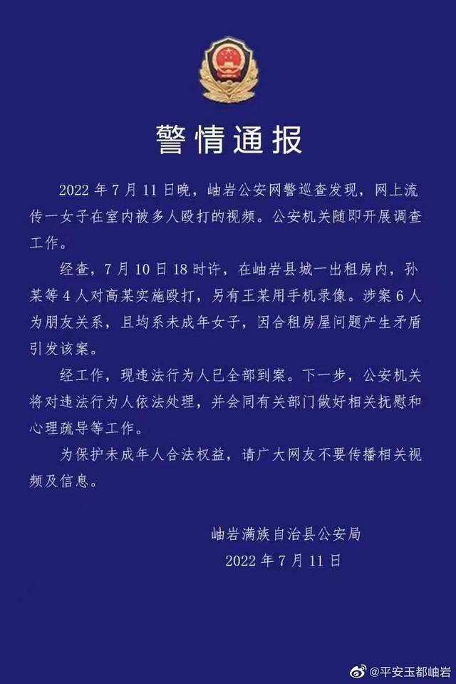 辽宁鞍山岫岩警方通报一女子在室内被多人殴打，涉案人员已全部到案