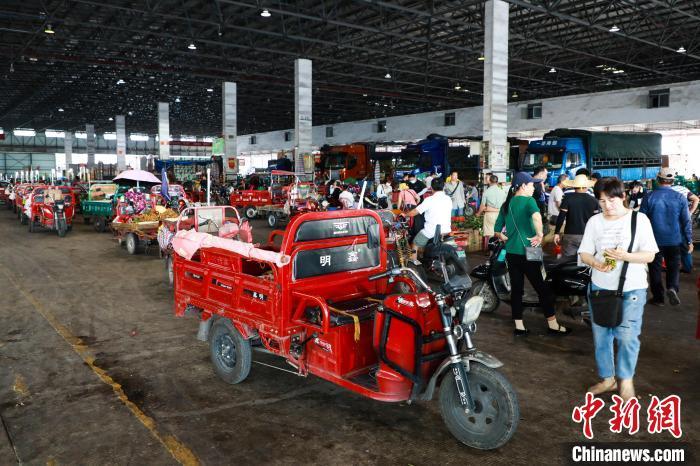 广西南宁：批发市场水果交易忙