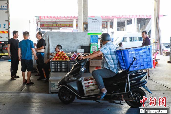 广西南宁：批发市场水果交易忙