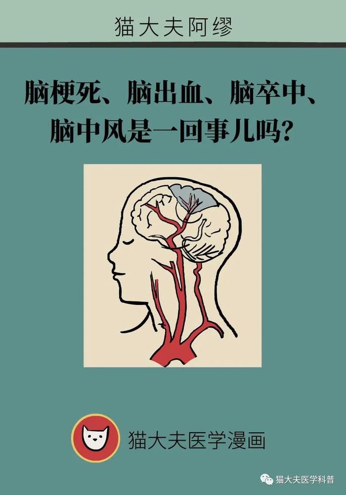 脑梗死、脑出血、脑卒中、脑中风，是不是一回事？