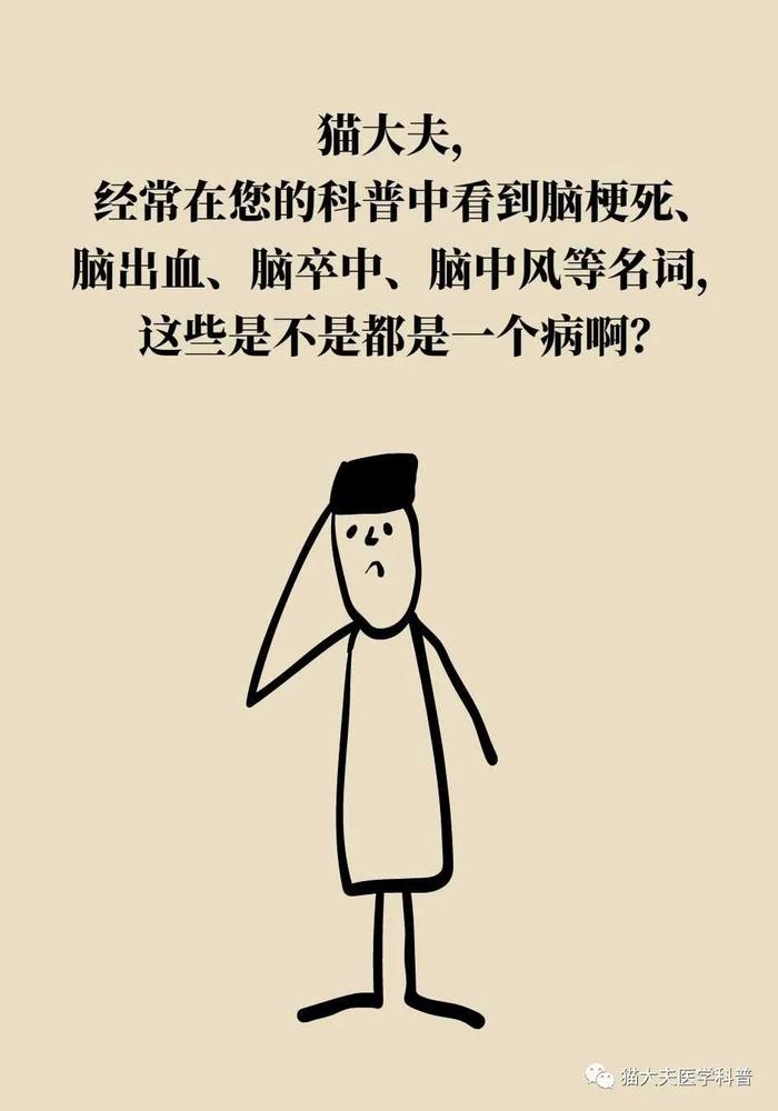 脑梗死、脑出血、脑卒中、脑中风，是不是一回事？