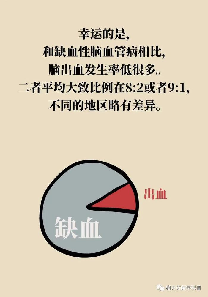 脑梗死、脑出血、脑卒中、脑中风，是不是一回事？