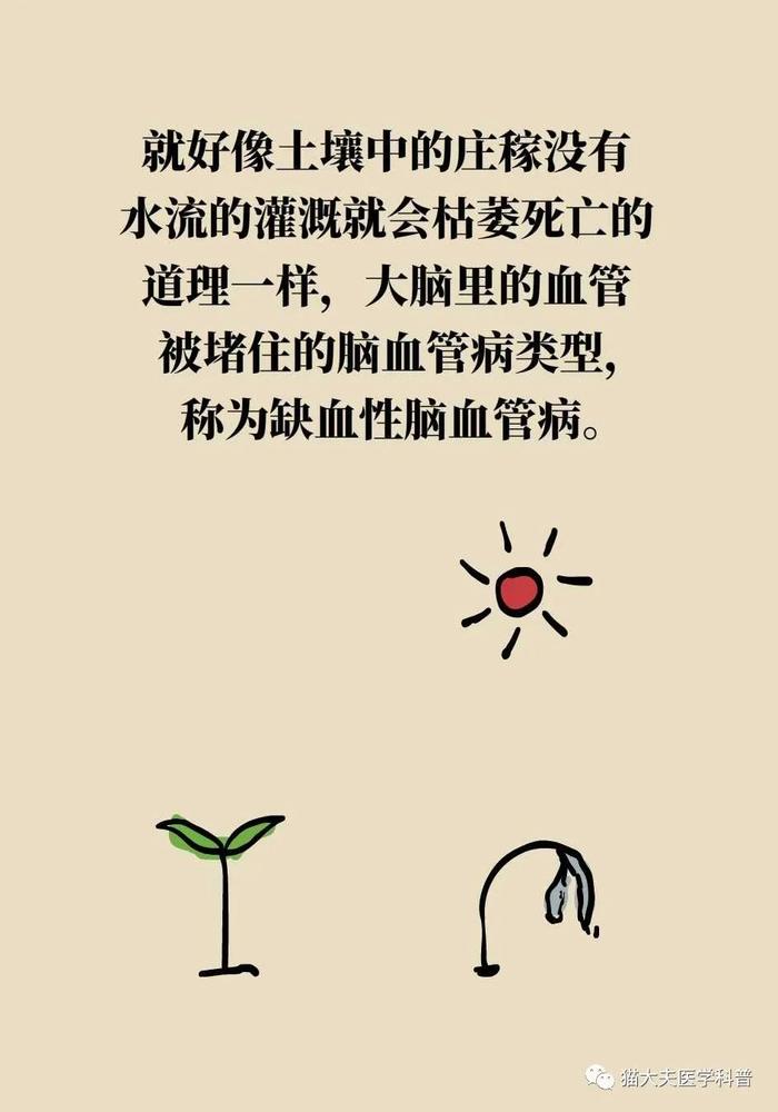 脑梗死、脑出血、脑卒中、脑中风，是不是一回事？