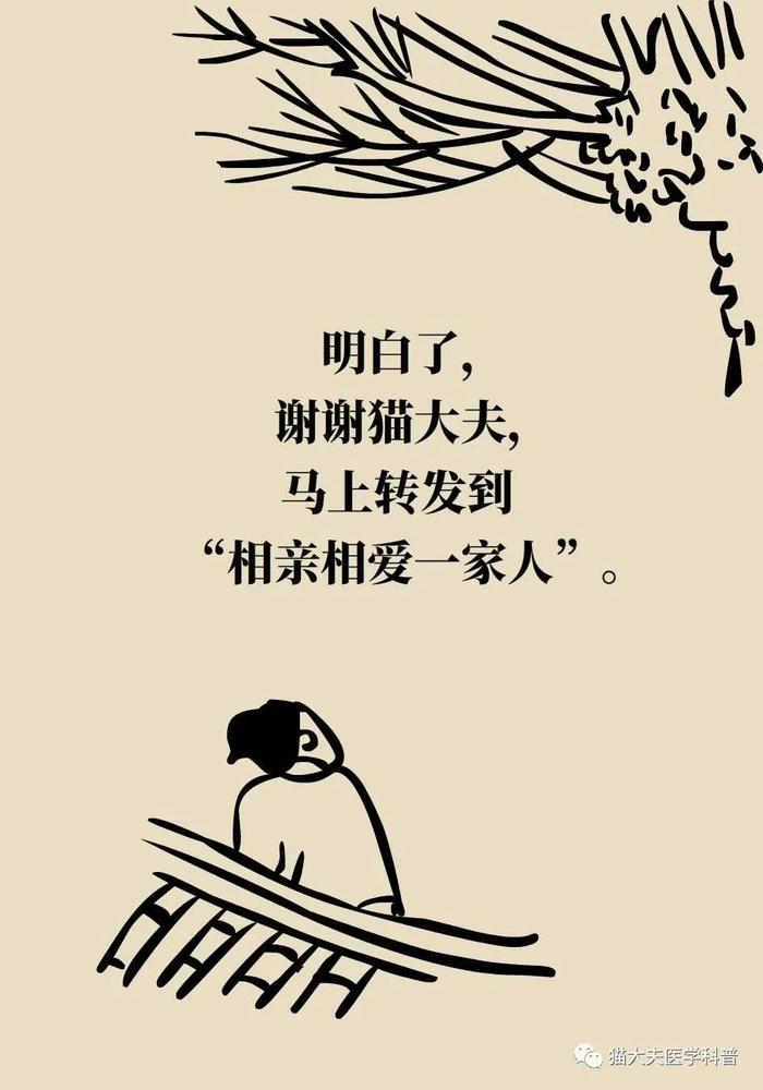 脑梗死、脑出血、脑卒中、脑中风，是不是一回事？