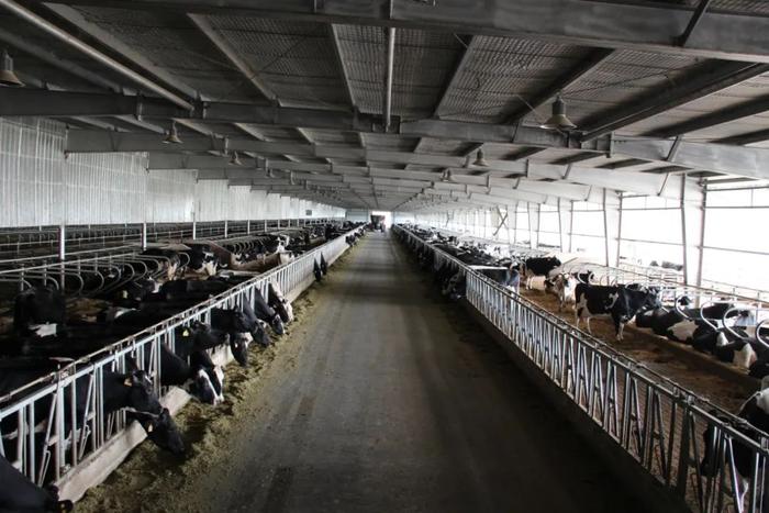 吉林省出台支持奶牛产业发展新举措，条条都是干货！