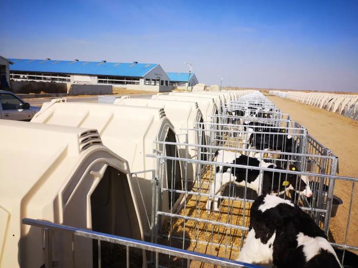 吉林省出台支持奶牛产业发展新举措，条条都是干货！