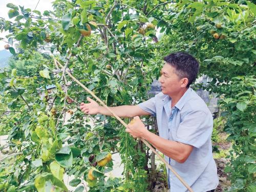 贵州务川县：创新信贷产品助农增收