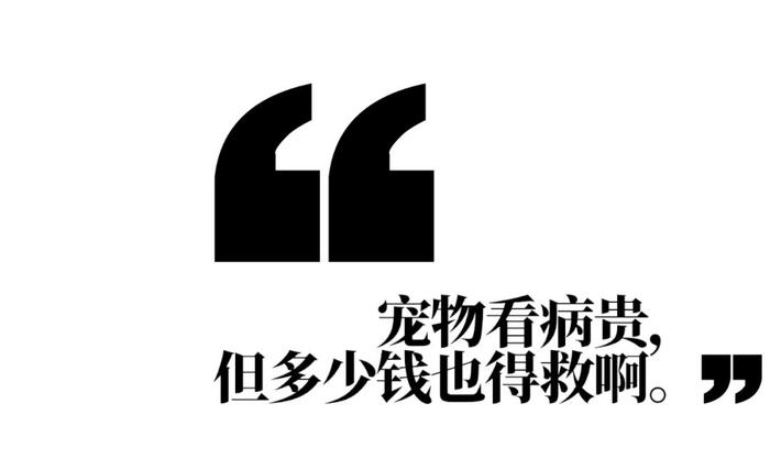 在宠物生病面前，打工人的钱包永远是那么不堪一击