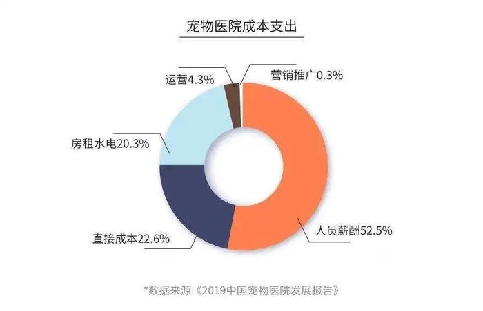 在宠物生病面前，打工人的钱包永远是那么不堪一击