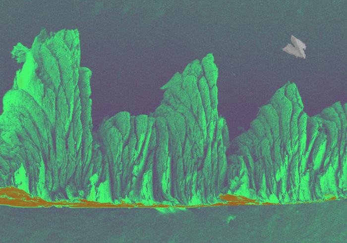 微观摄影大赛：记录显微镜下微观世界的科学之美