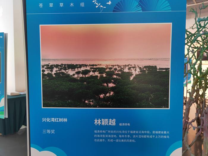 中核集团首份生物多样性保护实践报告在京发布