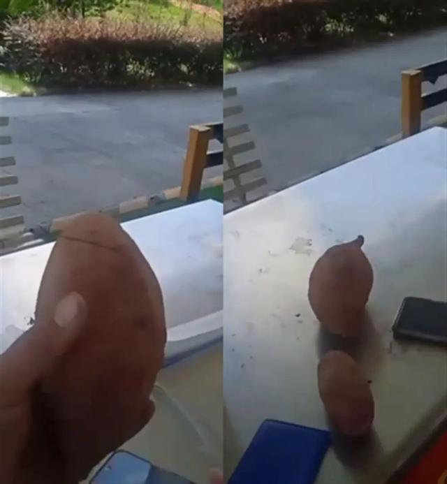 司机车上拉的紫薯(视频截图)