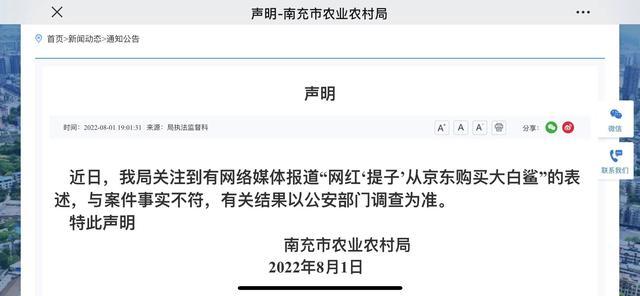 京东回应：网红购买的“大白鲨”未在平台销售