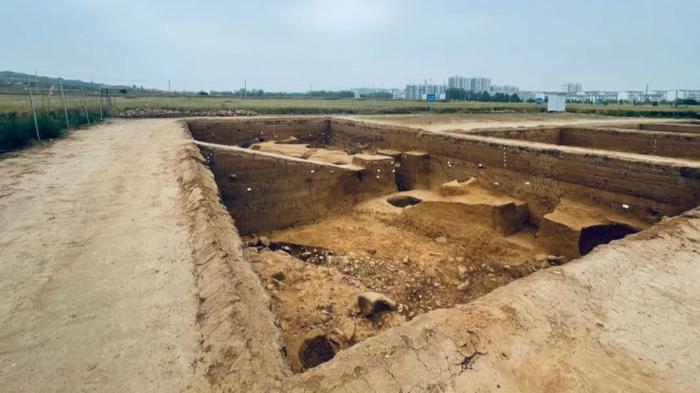 专访｜河南文物局局长田凯：河洛考古与“何以中国”