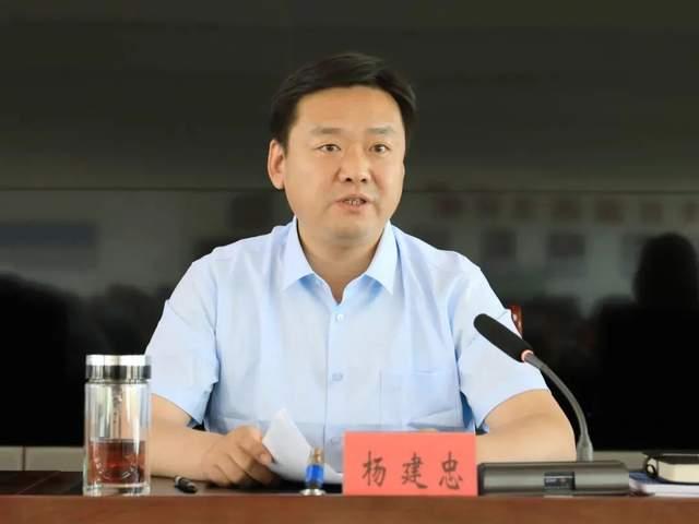 杨建忠 资料图