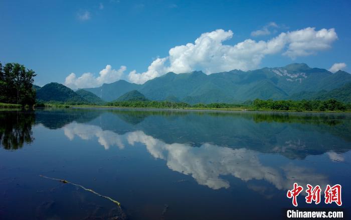 航拍神农架大九湖高山湿地风光