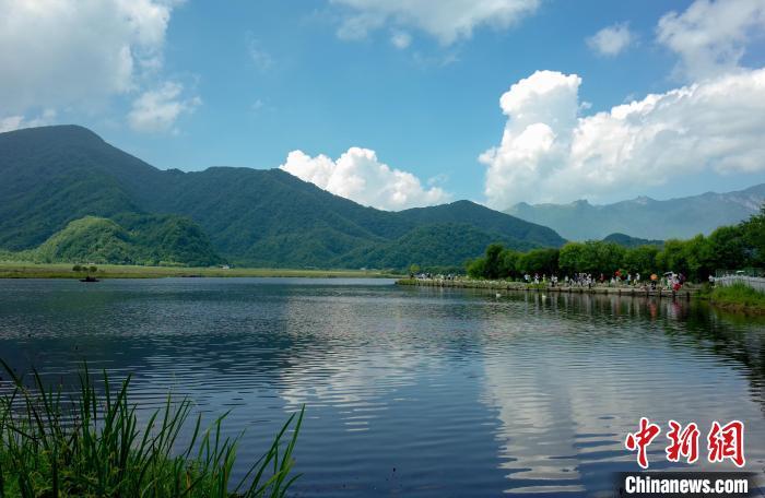 航拍神农架大九湖高山湿地风光